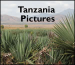Tanzania 2011